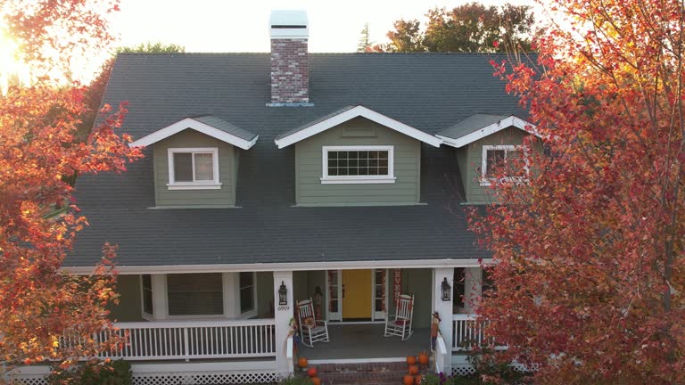Best 4 Ply Roofing  in Roseville, MI