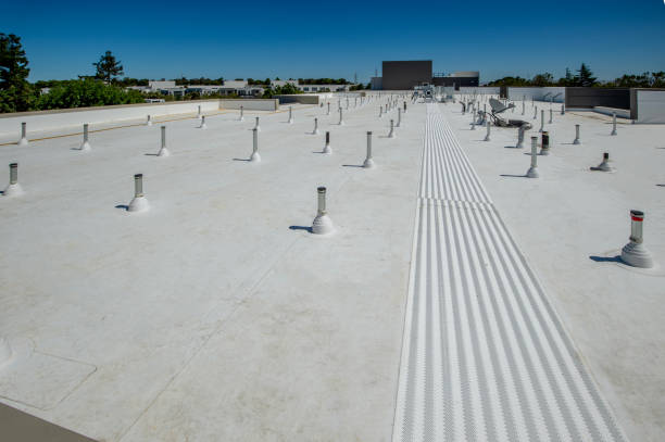 Best Rubber Roofing (EPDM, TPO)  in Roseville, MI